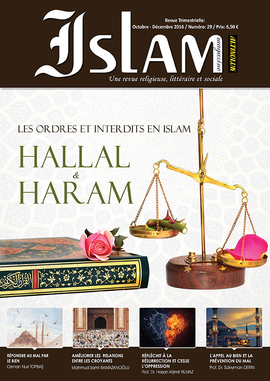 Islam Magazıne - 29